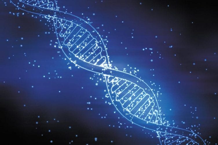 projekt-ludskeho-genomu